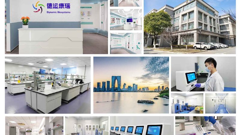无血清培养基：揭秘其价格背后的秘密**