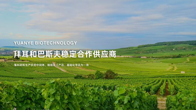 离心管安装时对称放置的重要性