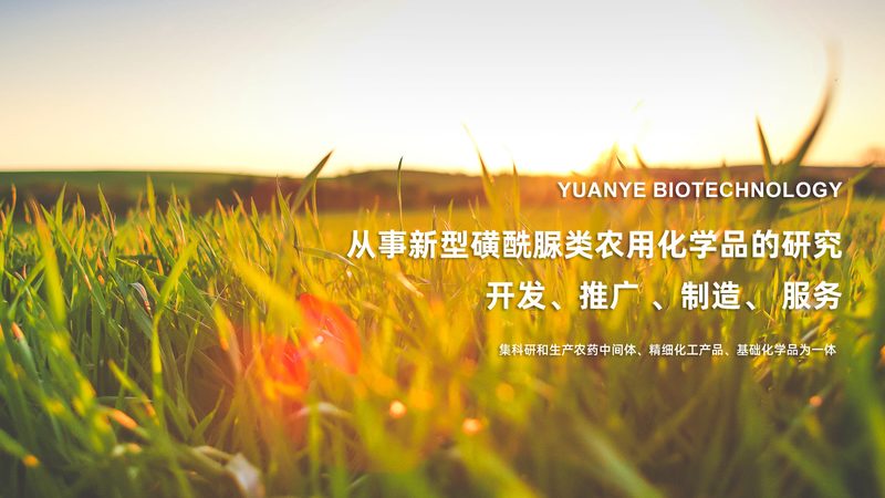 移液器重复性误差：如何确保实验数据的可靠性**