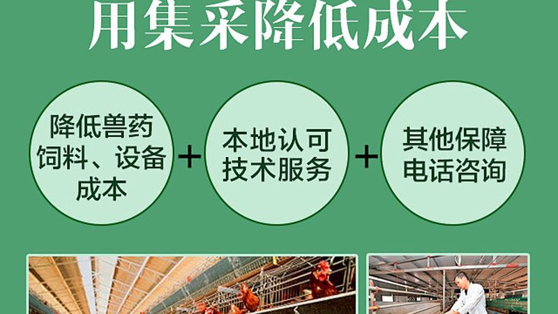 荧光引物修饰到底看什么