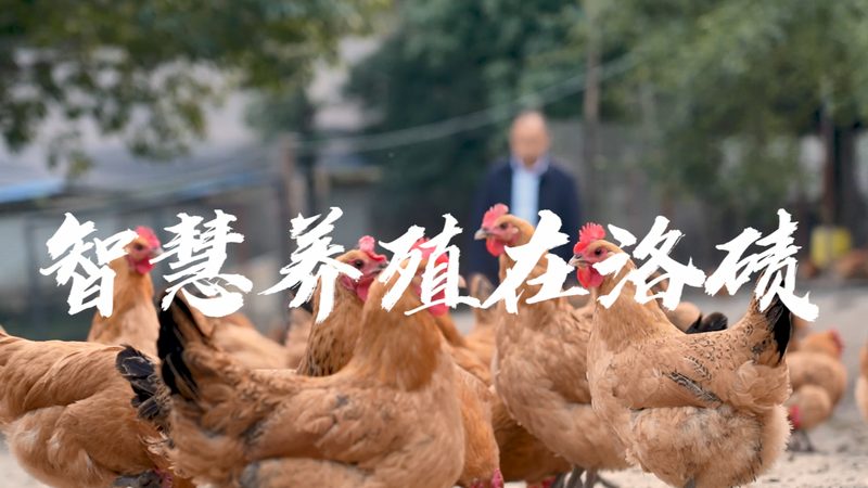 DMEM培养基：揭秘细胞培养的“黄金液态基质”**
