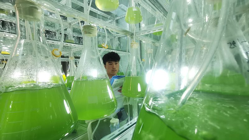 肿瘤靶向基因检测与化疗基因检测区别